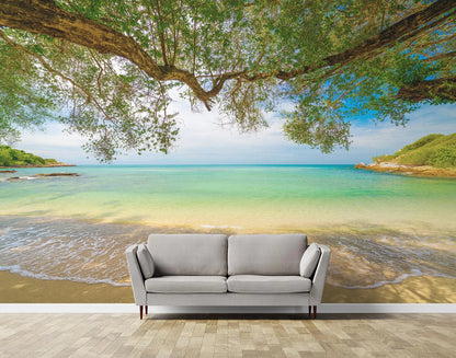 Arbol en la Playa