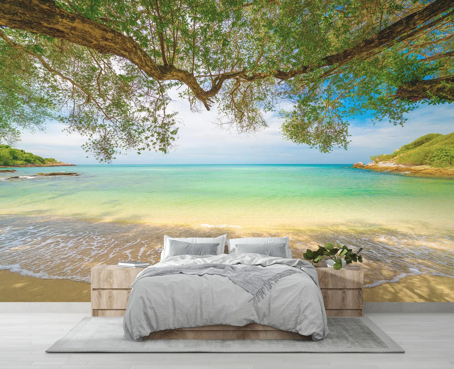 Arbol en la Playa