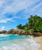 Playa, Selva y Rocas en la Arena