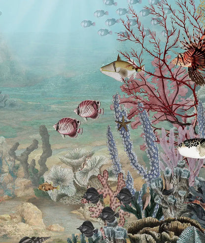 Fish & Corals Underwater Illustration