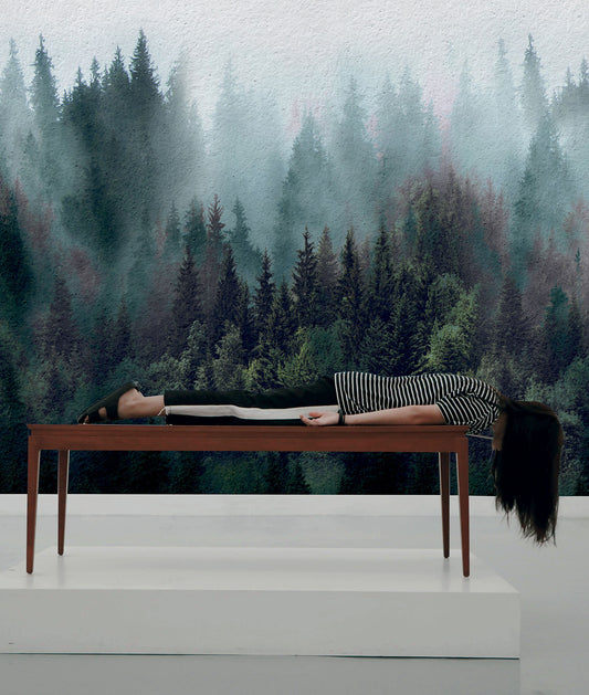 Misty Pine Tree Forest