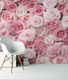 Pink Roses