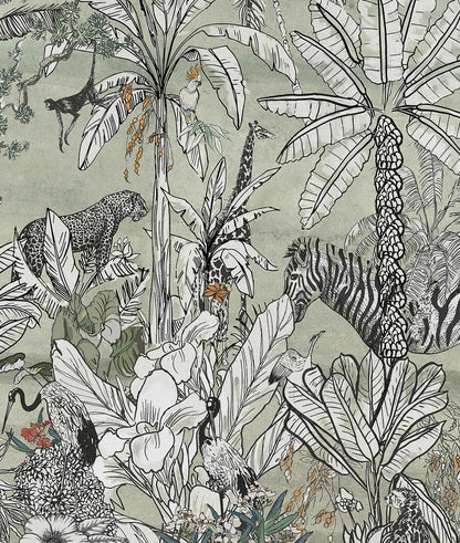 Jungla Cebra, Jaguar, Elefante y Monos