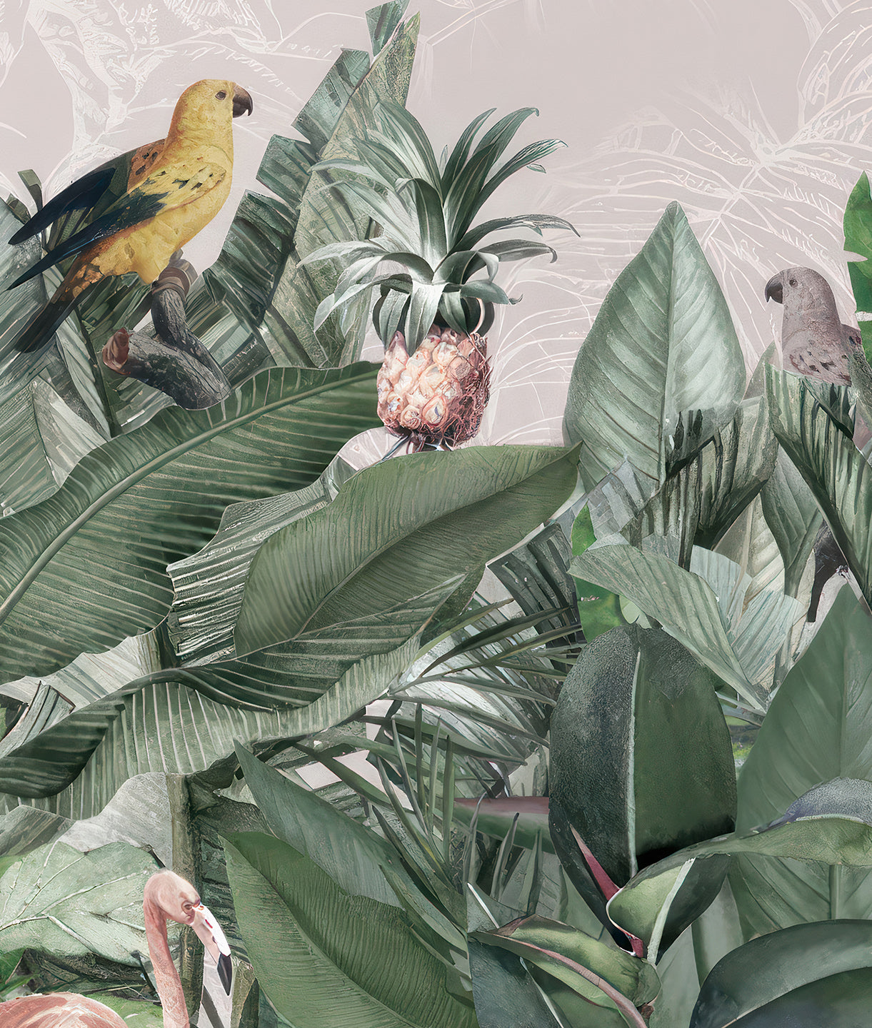 Paisaje Plantas Tropicales, Aves y Flamingos