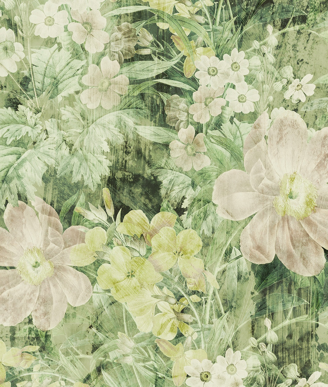 Jardín Flores y Plantas