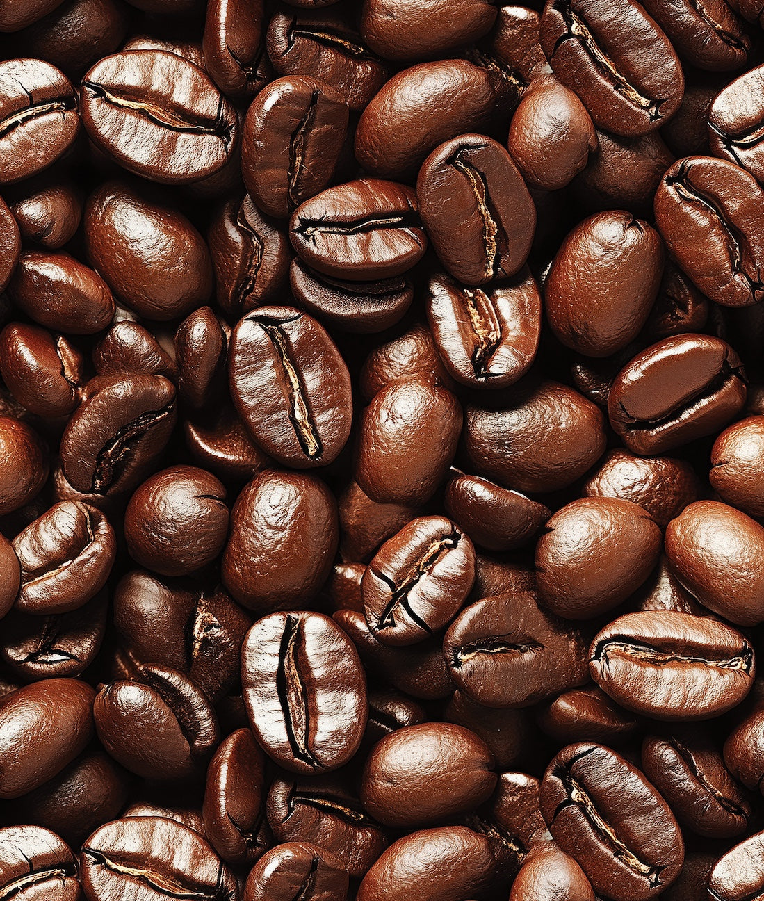 Coffee Beans / Granos de Café II