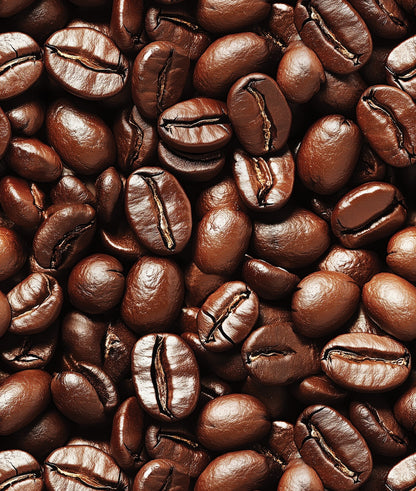 Coffee Beans / Granos de Café II
