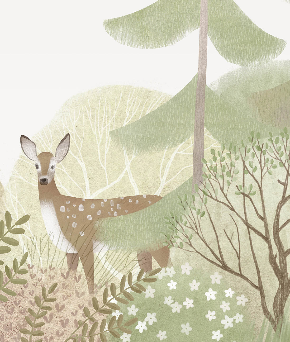 Ilustración Bosque de Pinos y Venado