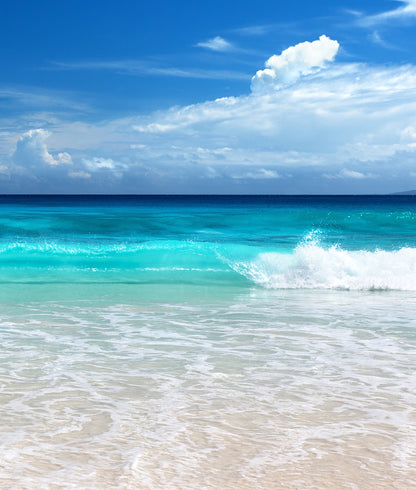 Beautiful Sunny Beach