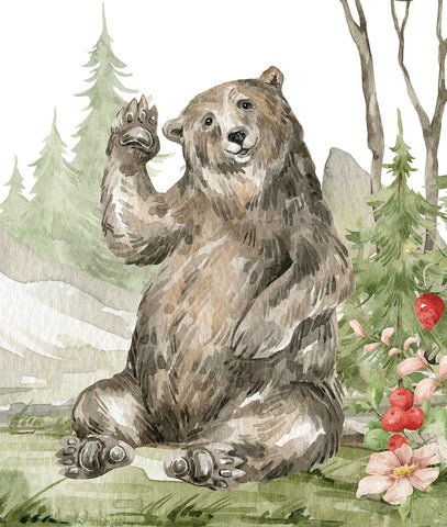 Bosque Zorro, Oso, Venado y Puercoespín
