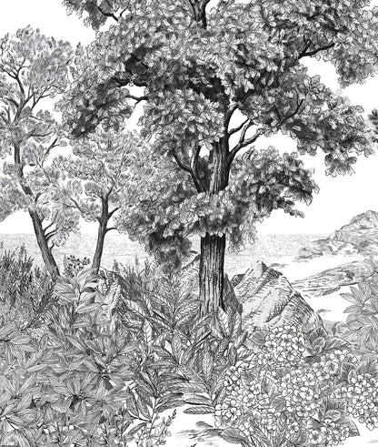 Ilustración Lago y Bosque