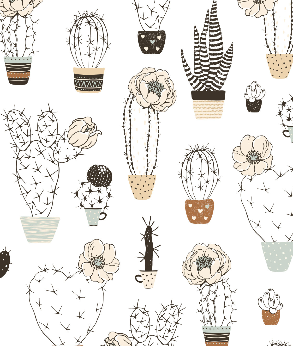 Cactus y Flores