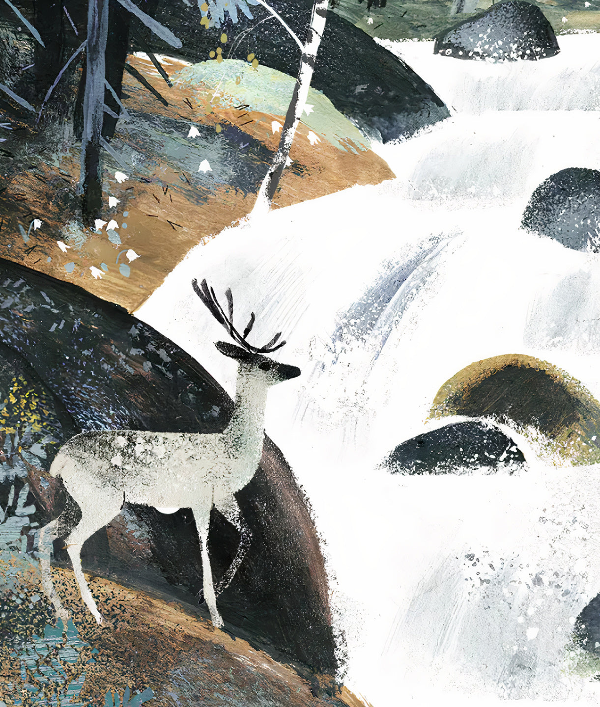 Deer and Forest Rapids