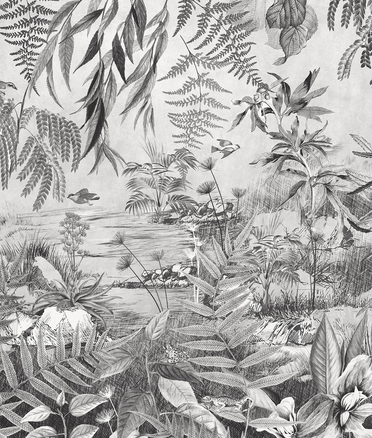 Paisaje Tropical Black & White