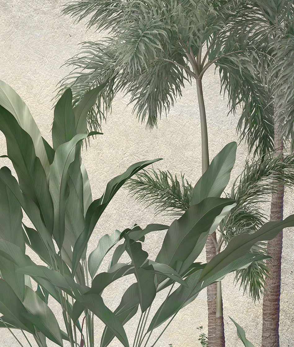 Paisaje Palmeras Tropicales I