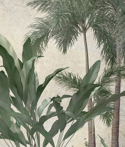 Paisaje Palmeras Tropicales I
