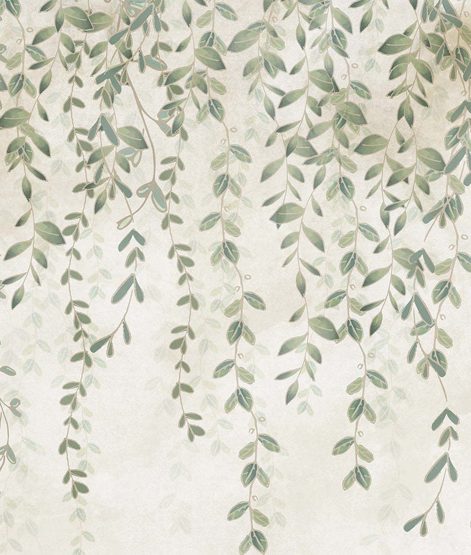 Muro y Plantas