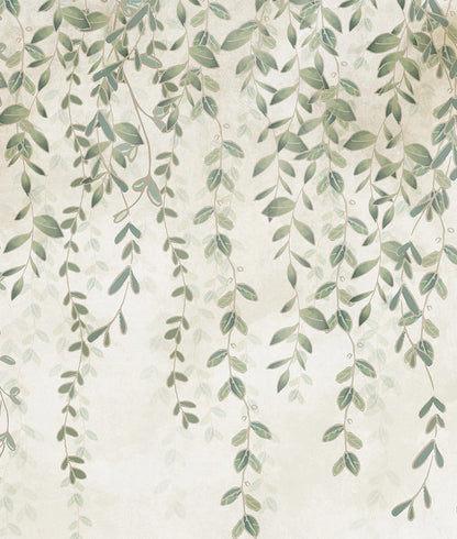 Muro y Plantas