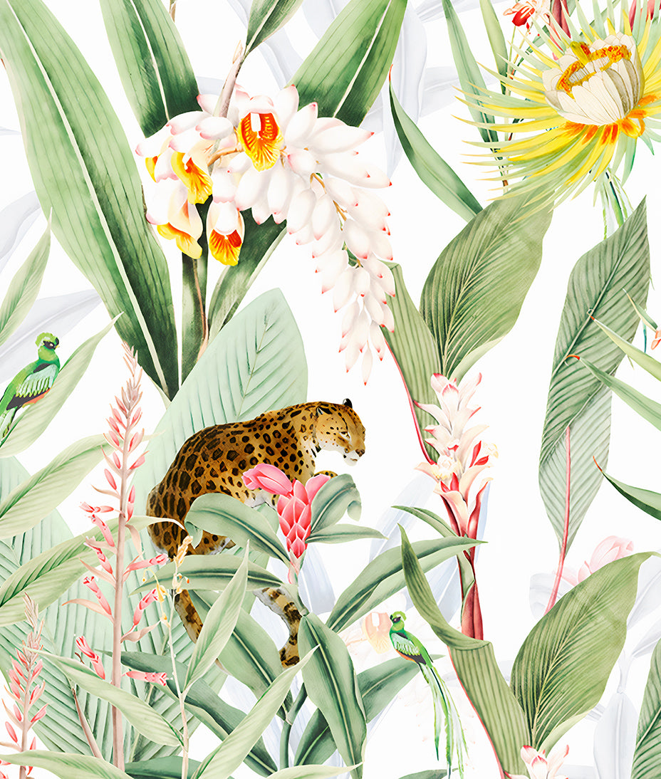 Jungle Vibes