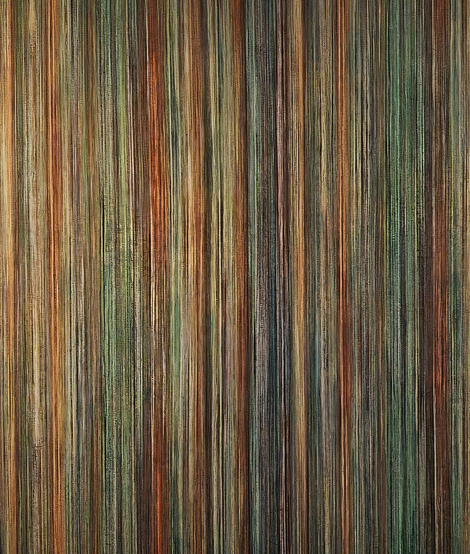 Líneas Multicolor Obscuras