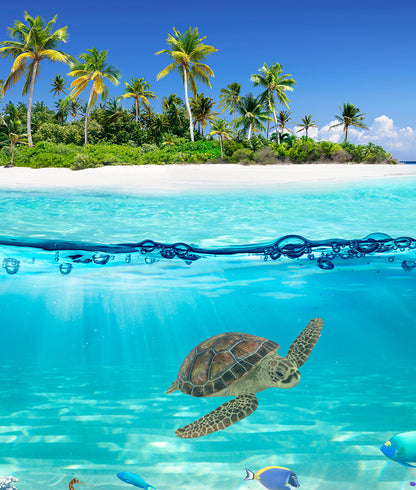 Isla Tropical y Vida Marina