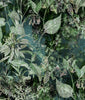 Plantas y Follaje Verde