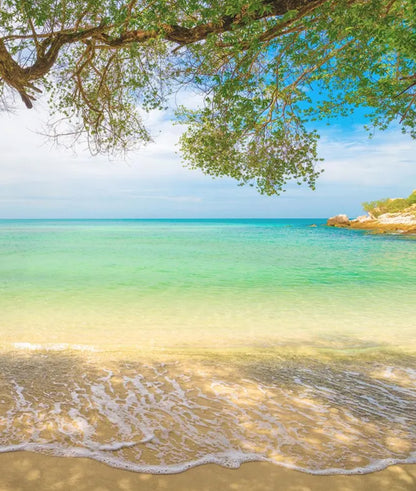 Arbol en la Playa