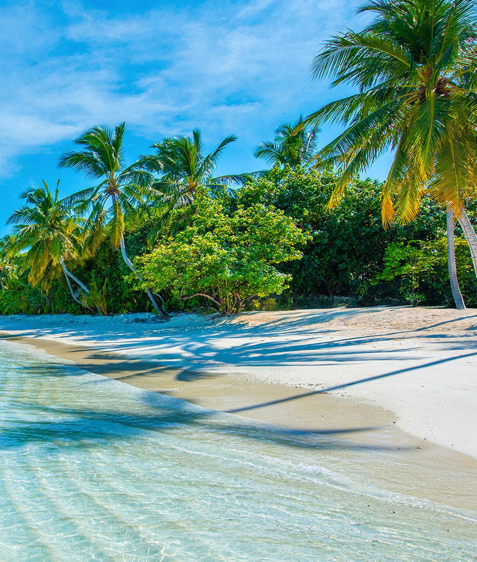 Paisaje Playa Tropical