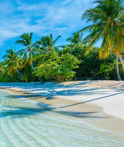 Paisaje Playa Tropical
