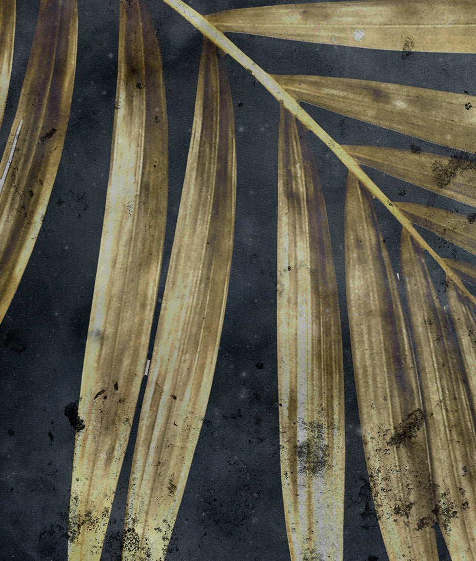 Tropical Plant Black Background