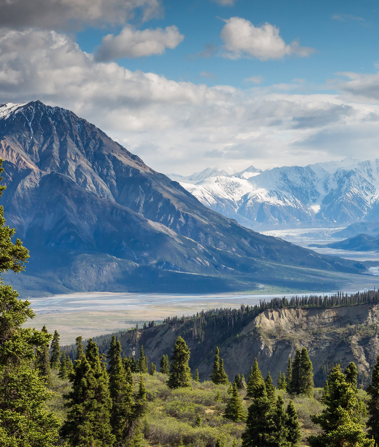 Majestuoso Paisaje Bosque y Montañas Nevadas