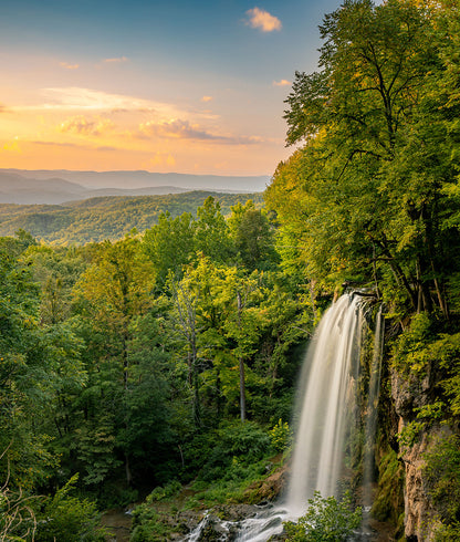 Cascada en el Bosque