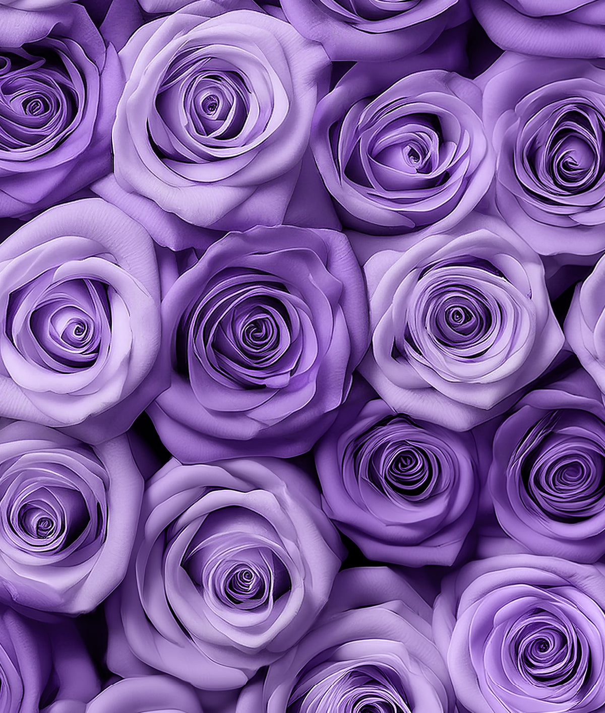 Patrón Floral Rosas Lila