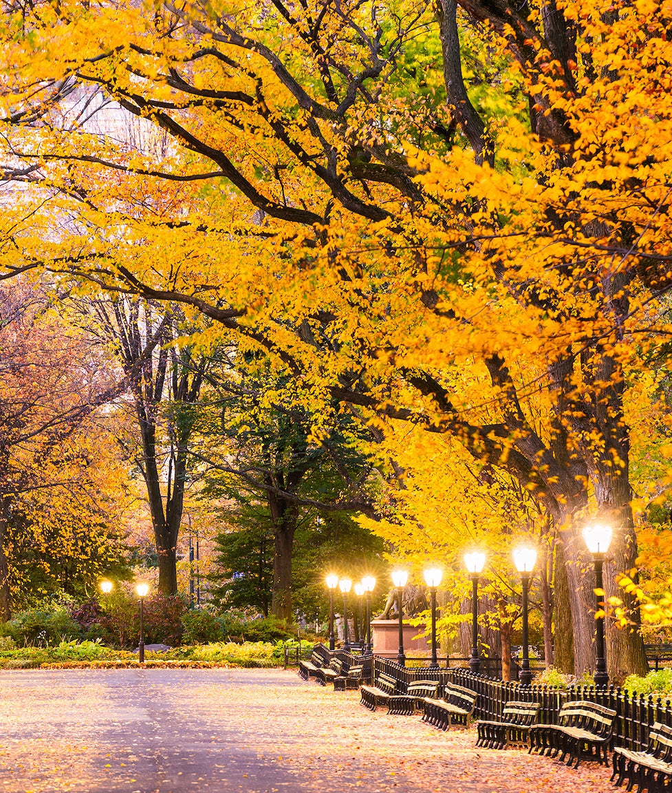 Central Park Otoño