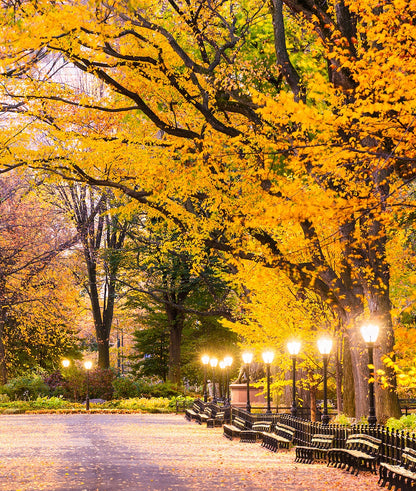 Central Park Otoño