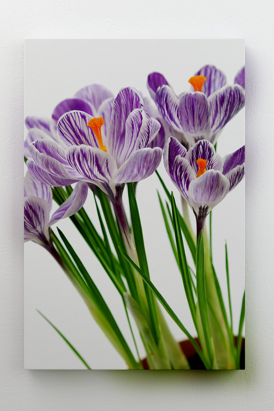 Canvas Decorativo Flowers Close-Up